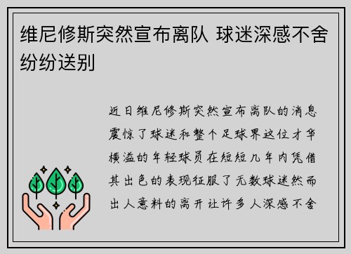 维尼修斯突然宣布离队 球迷深感不舍纷纷送别